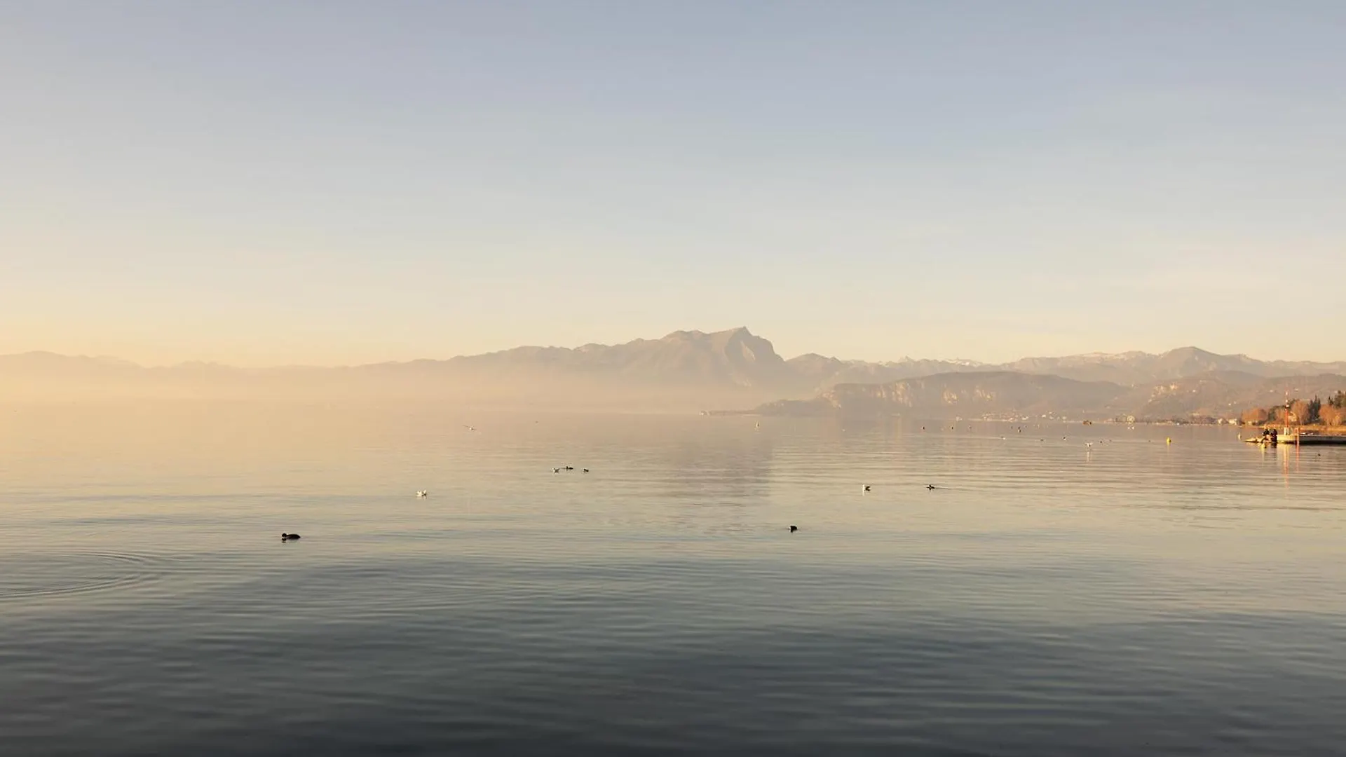Salix Home Lazise 0*,
